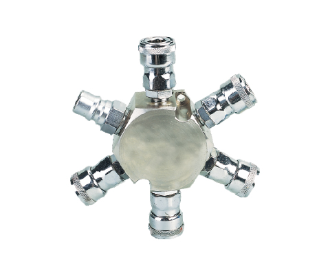 6PCS Manifold With Japan Type Quick Coupler