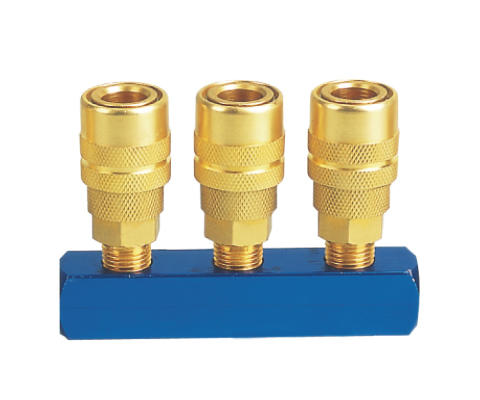 MANIFOLD WITH USA TYPE QUICK COUPLER